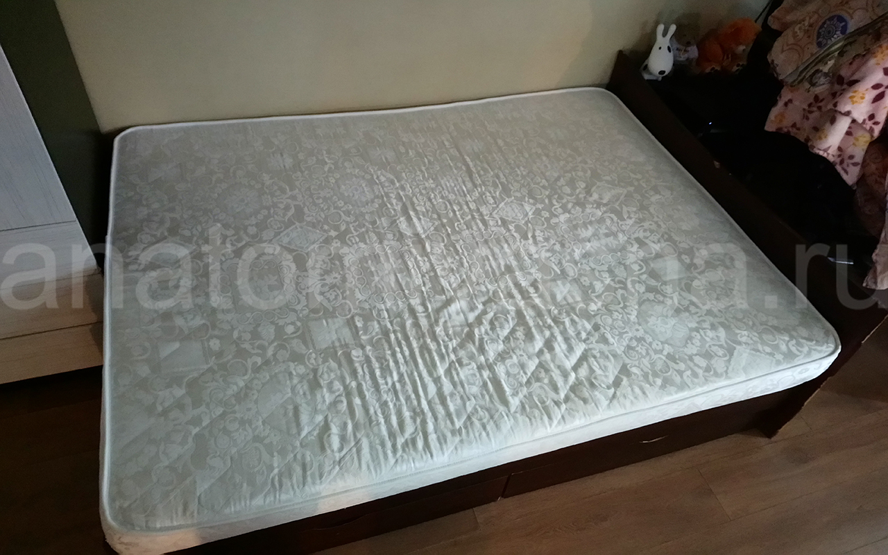 отзыв о Матрас Everest Ноу спринг Рестролл Эко фото 3